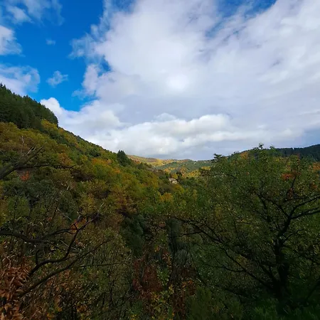 Dom wakacyjny Ecolieu La Bernarde - Nature