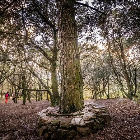 Ecolieu La Bernarde - Nature 度假居