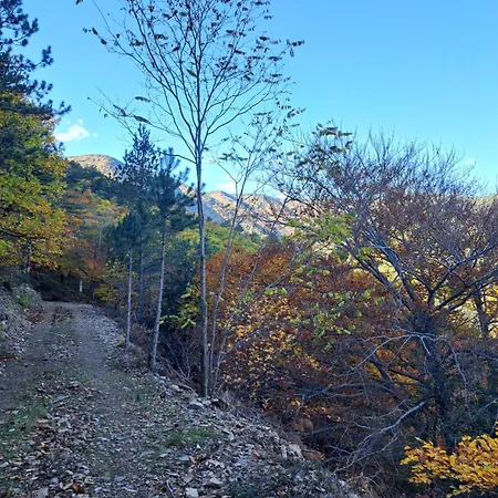 Ecolieu La Bernarde - Nature Dompnac
