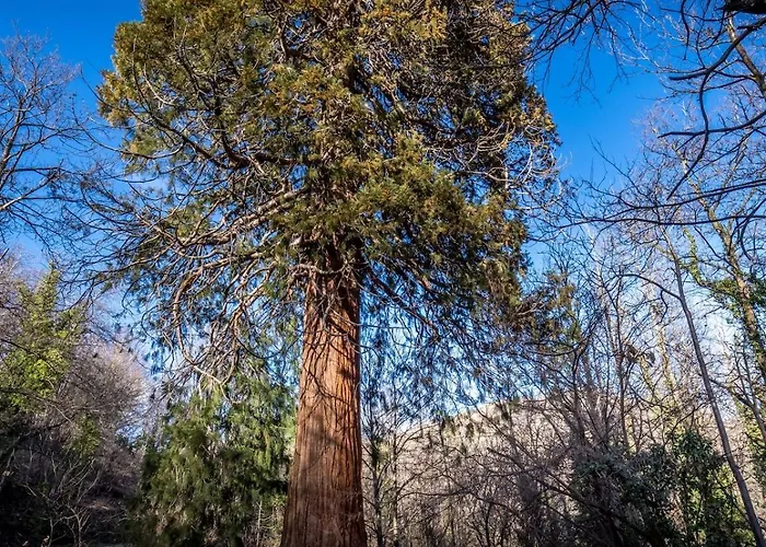 Ecolieu La Bernarde - Nature Dom wakacyjny