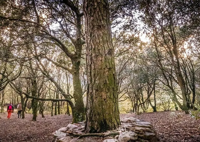 Ecolieu La Bernarde - Nature Dom wakacyjny